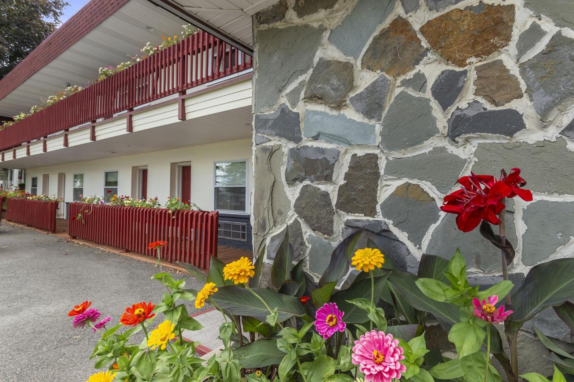 Blue Spruce Inn & Suites Valatie Εξωτερικό φωτογραφία