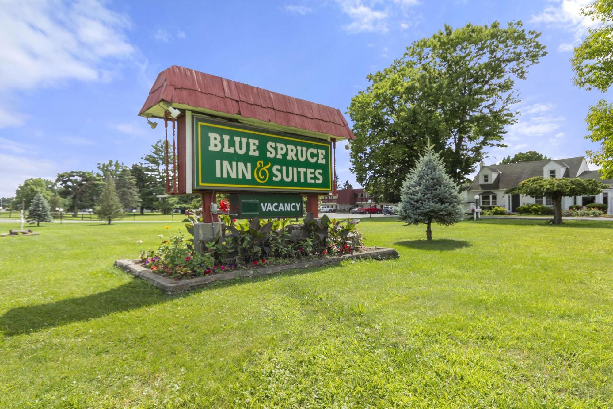 Blue Spruce Inn & Suites Valatie Εξωτερικό φωτογραφία